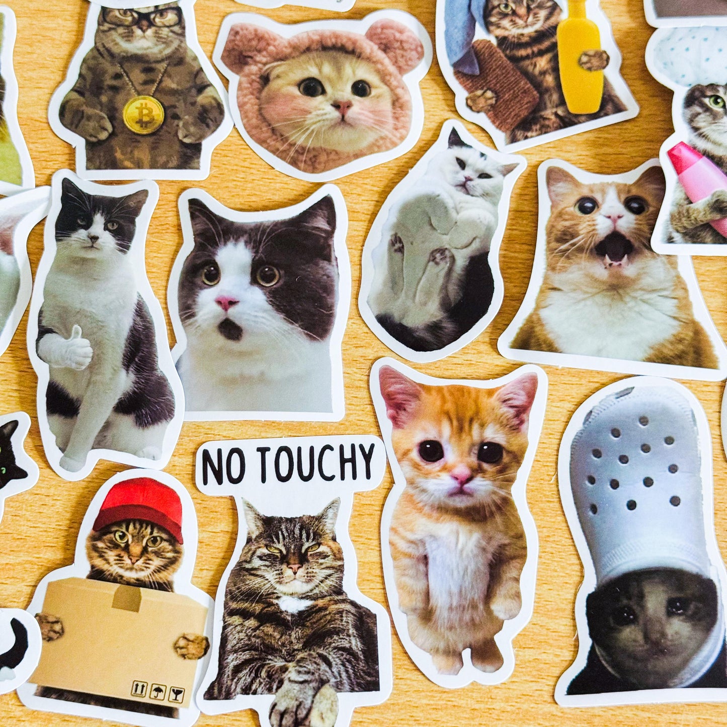 100 Pcs Cat Meme Stickers, Funny Cat sticker, Funny Waterproof Stickers Decals For Motorcycle, Laptop, Luggage, Water Bottle, Phone case