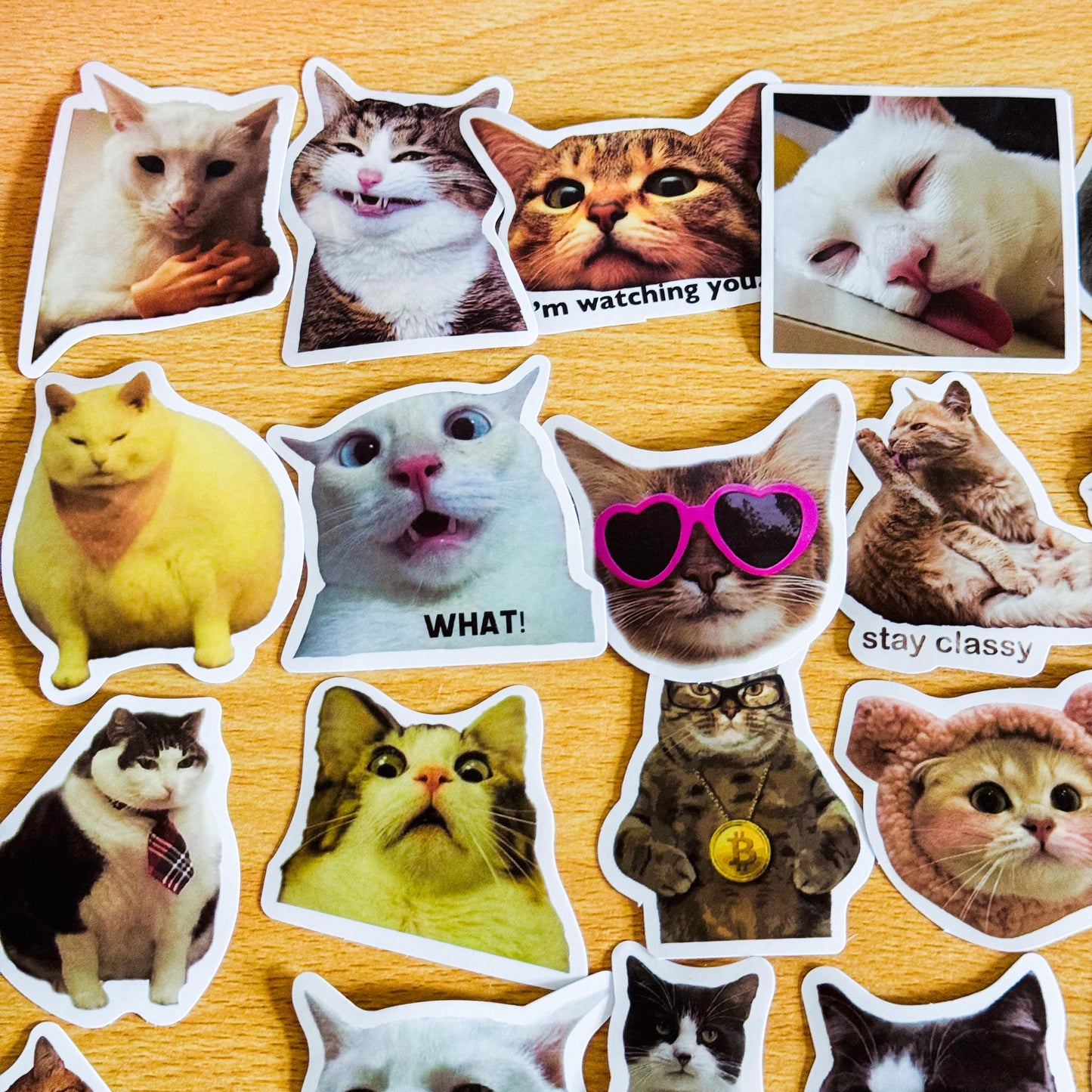 100 Pcs Cat Meme Stickers, Funny Cat sticker, Funny Waterproof Stickers Decals For Motorcycle, Laptop, Luggage, Water Bottle, Phone case