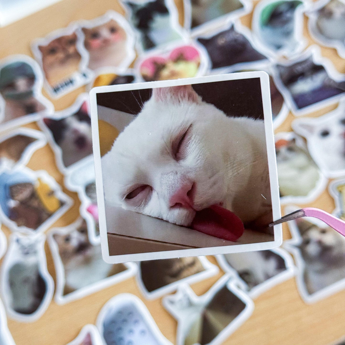 100 Pcs Cat Meme Stickers, Funny Cat sticker, Funny Waterproof Stickers Decals For Motorcycle, Laptop, Luggage, Water Bottle, Phone case