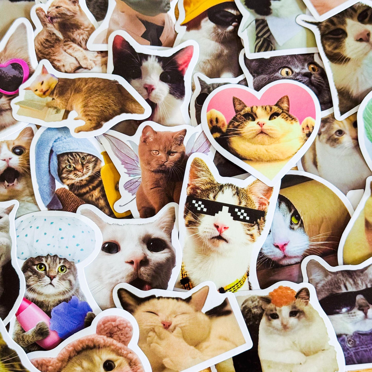 100 Pcs Cat Meme Stickers, Funny Cat sticker, Funny Waterproof Stickers Decals For Motorcycle, Laptop, Luggage, Water Bottle, Phone case