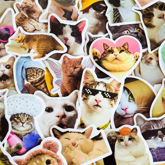 100 Pcs Cat Meme Stickers, Funny Cat sticker, Funny Waterproof Stickers Decals For Motorcycle, Laptop, Luggage, Water Bottle, Phone case