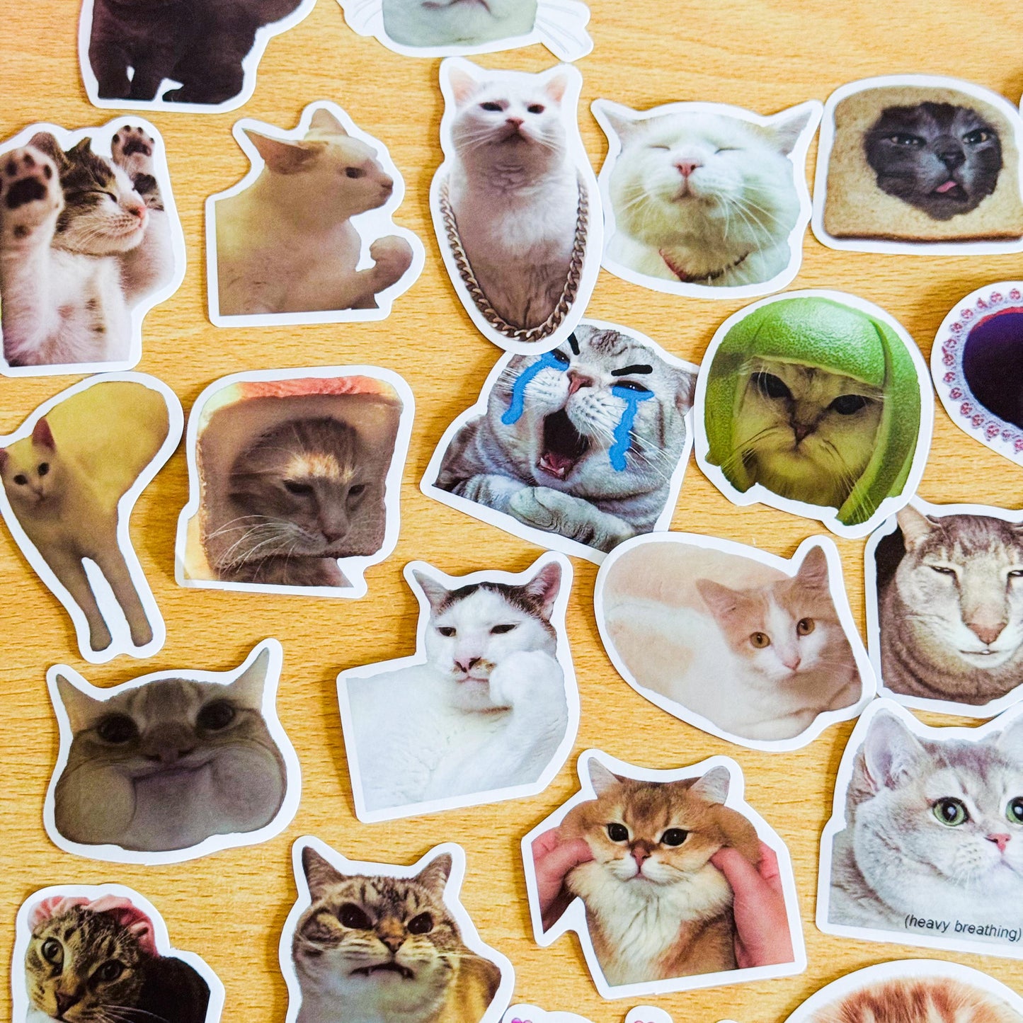 100 Pcs Cat Meme Stickers, Funny Cat sticker, Funny Waterproof Stickers Decals For Motorcycle, Laptop, Luggage, Water Bottle, Phone case