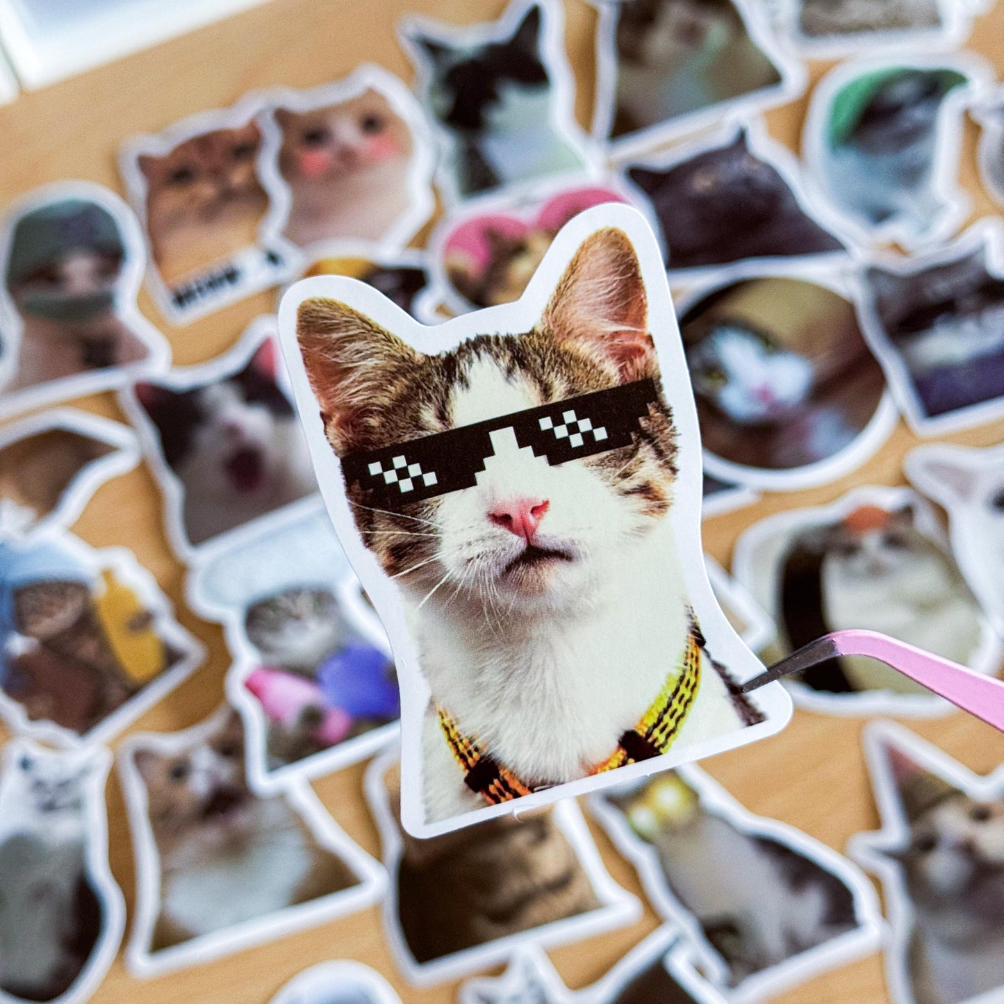 100 Pcs Cat Meme Stickers, Funny Cat sticker, Funny Waterproof Stickers Decals For Motorcycle, Laptop, Luggage, Water Bottle, Phone case